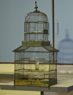 GLI ANNI AMARI - DIARIO DI BORDO DEL FILM DI ANDREA ADRIATICO SU MARIO MIELI